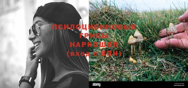 прущие крисы Покровск