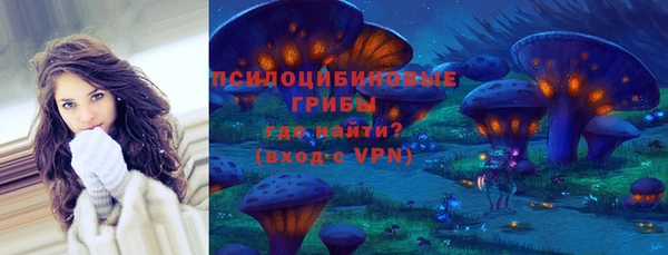 ПСИЛОЦИБИНОВЫЕ ГРИБЫ Алексеевка